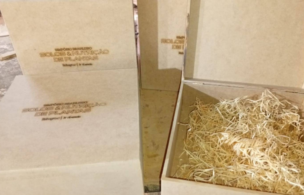 Caixas personalizadas para palestrantes - Foto de Barbara